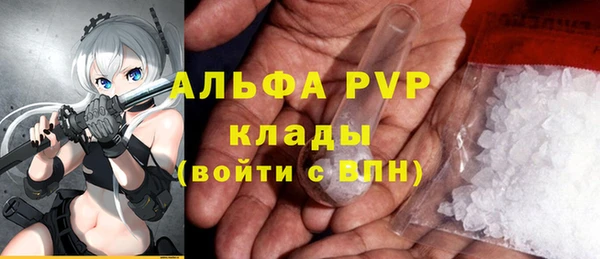 гидра Мегион