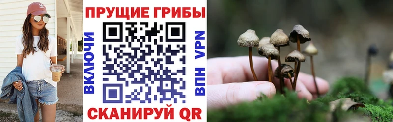 Галлюциногенные грибы Magic Shrooms  shop состав  Нюрба 